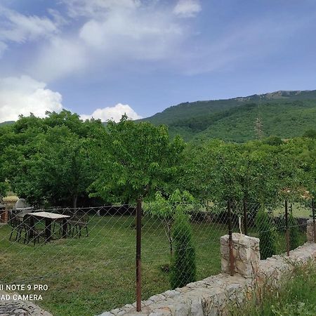 Aleks Villa Ohrid Luaran gambar