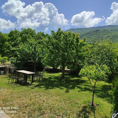 Aleks Villa Ohrid Luaran gambar