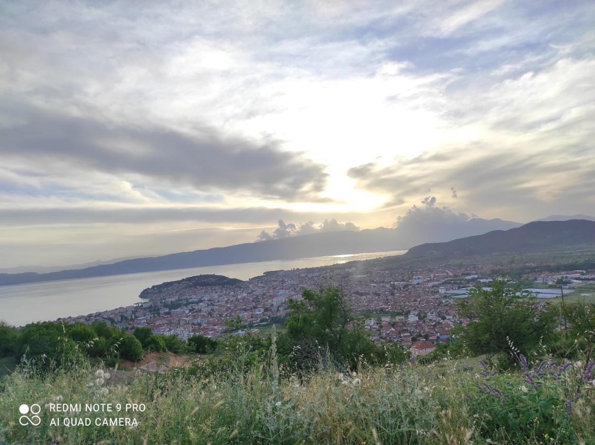 Aleks Villa Ohrid Luaran gambar